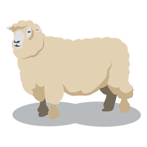 Sheep Wool Animal Transparent Png And Svg Vector File