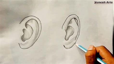 How To Draw Realistic Ears Front View In One Continuous Stroke Starting