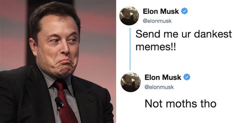 He always has trolled other people or sometimes even himself on. Elon Musk asks Twitter to send him 'Dank Memes', it backfires