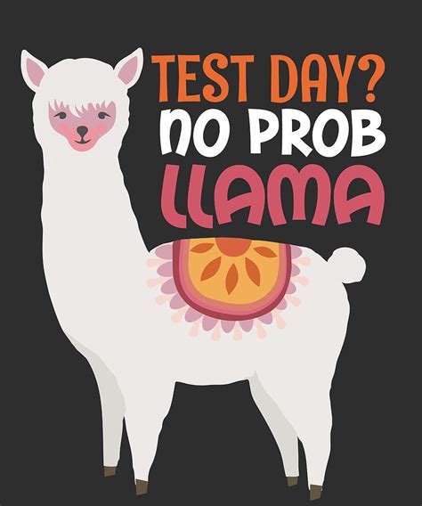 Llama Teacher T Test Day No Prob Llama T Digital Art By James C