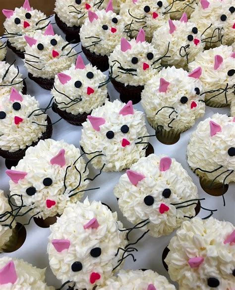 Cat Cupcakes Cat Cupcakes Animal Cupcakes Dessert Cupcakes Cupcake