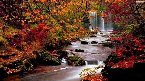 Waterfall In Autumn Wallpapers Wallpaper Cave