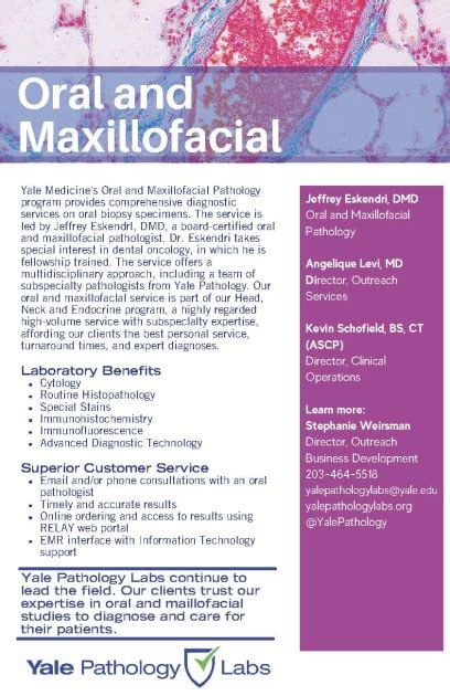 Oral And Maxillofacial Pathology Program