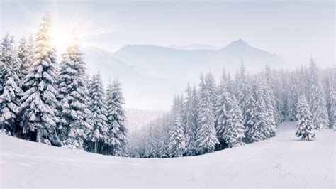 Snow Fall Wallpapers Top Free Snow Fall Backgrounds W Vrogue Co