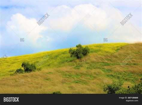 Lush Green Field On Image And Photo Free Trial Bigstock