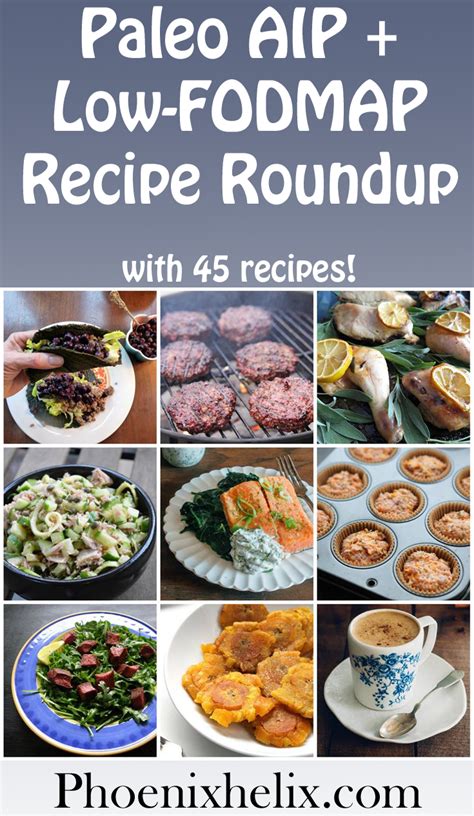 She's in a unique position to help people with autoimmune healing, because she has walked this path herself. Paleo AIP + Low-FODMAP Recipe Roundup (45 Recipes ...