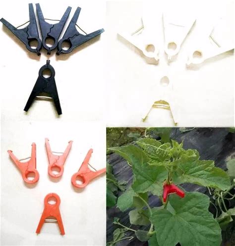 Skyplant Cheap Tomato Grafting Clip For Plastic Film Greenhouse Buy