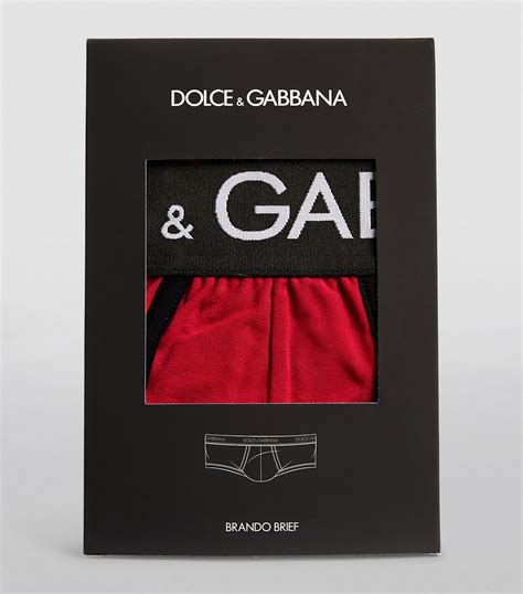 Dolce And Gabbana Logo Brando Briefs Harrods Hk