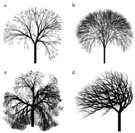 Some Trees With Different Branching Structures Produced By L Systems