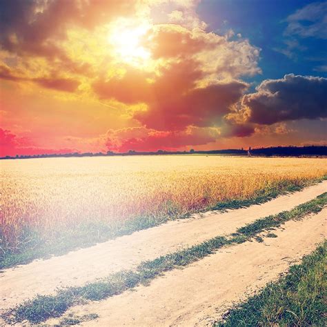 Nature Hot Sunny Day Awesome Farm Landscape Ipad Wallpapers Free Download