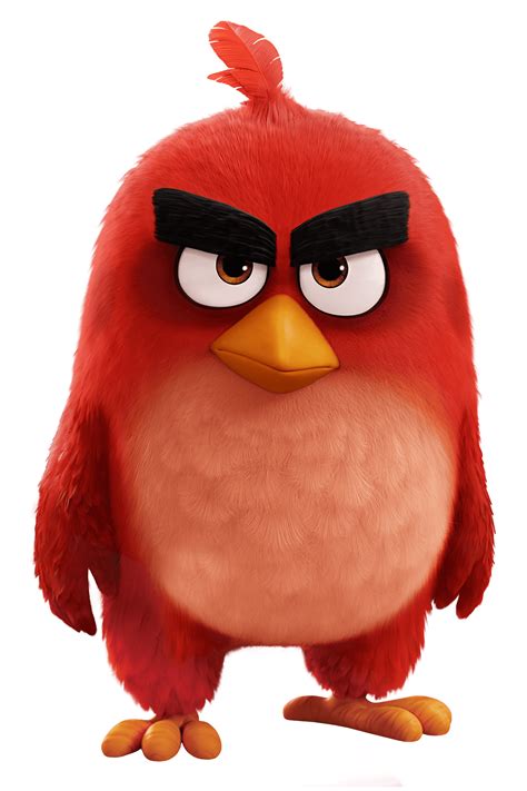 Angry Birds Red Png