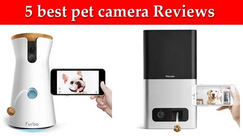 Для всех возрастных групп 4+. 5 best pet camera Reviews - YouTube