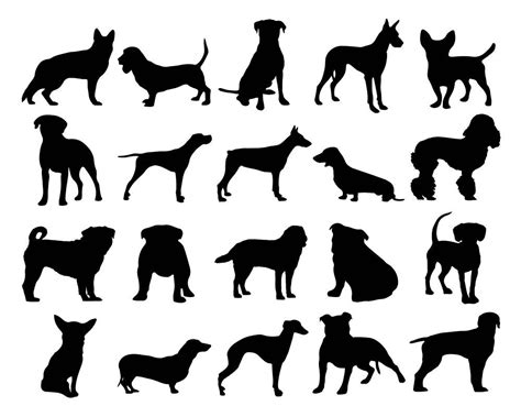 Dog Breed Svg Dxf Png Bundle Cricut Project Clipart Vector Chihuahu