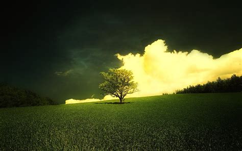 Peartreedesigns Beautiful Natural Morning Widescreen Background