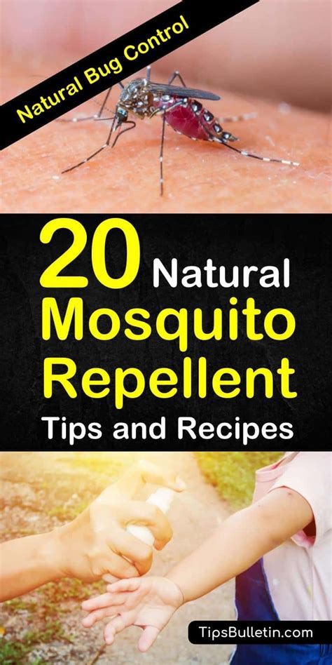 Tips to keep the biters away and when using essential oils. 20 Handy DIY Mosquito Repellent Ideas | Natural mosquito repellant, Diy mosquito repellent ...