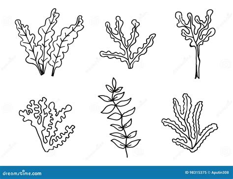 Algae Set Of Hand Drawing Vector Sketch Illustration Stock Vector