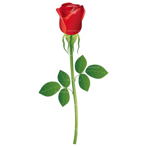 Clipart Rose Buds