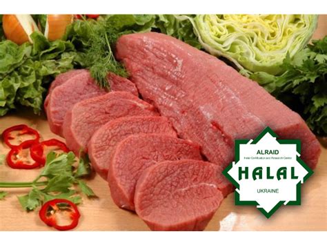 Coming Soon Major Ukrainian Meat Processing Plant Launches Production