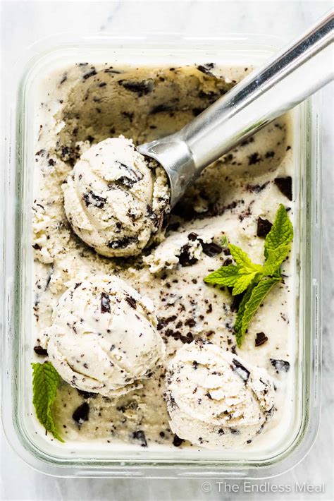 Mint Chocolate Chip Ice Cream The Endless Meal