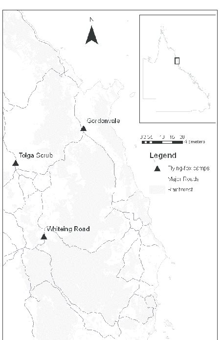 Location Of Spectacled Flying Fox Camps Surveyed In This Study