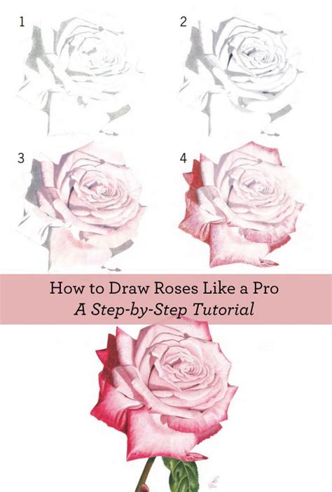 You can take or leave steps as you see fit, so the skyline let's learn how to draw a dandelion flower. Learn how to draw a rose with these FREE step-by-step ...