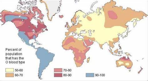 Как похудеть человеку первой группы крови