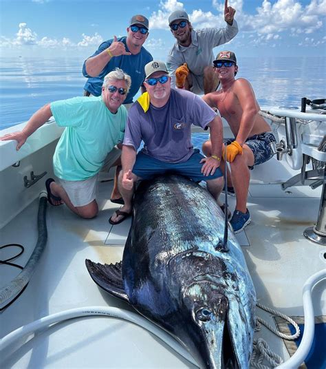 Record Setting Pound Blue Marlin Caught In Orange Beach Tournament