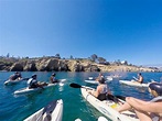 Original La Jolla Kayak Tour - San Diego | Project Expedition