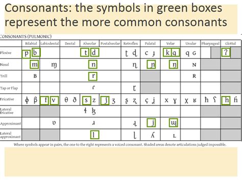 Types Of Consonants