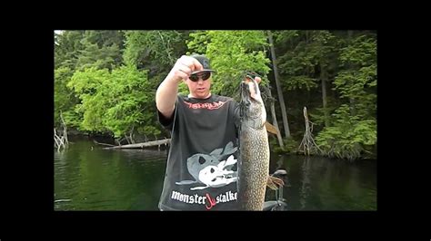 40 Inch Pike In Muskoka Youtube