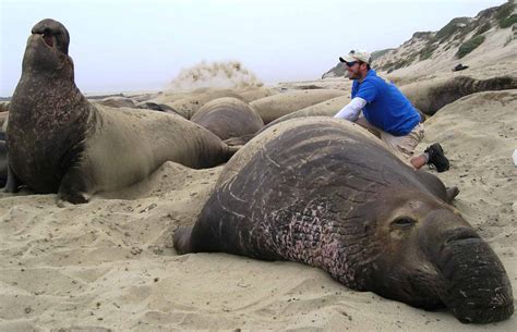 Scientists Investigate the Role of the ‘Silent Killer’ Inside Deep