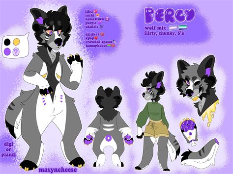 Custom Deluxe Fursona Reference Sheet Etsy