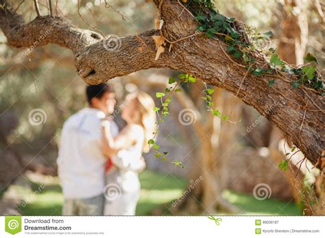 Couple Kiss Under Tree In Green Park At Sunset Stock Image Image Of