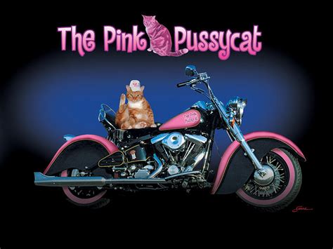 The Pink Pussycat Digital Art By Harold Shull Fine Art America