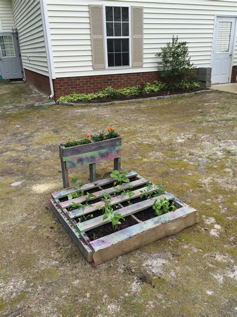 A Simple Upcycled Pallet Garden Pallet Garden Upcycle Pallets Plants