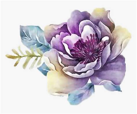 Clip Art Purple Flower Watercolor Purple Watercolor Flowers Png