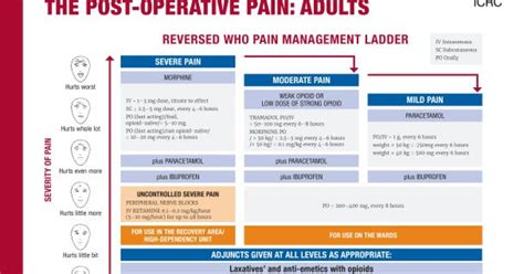 Revised Pain Management For The Post Operative Pain Adults And