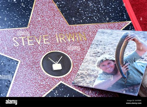 Steve Irwins Star Attend Steve Irwins Posthumous Hollywood Walk Hi Res