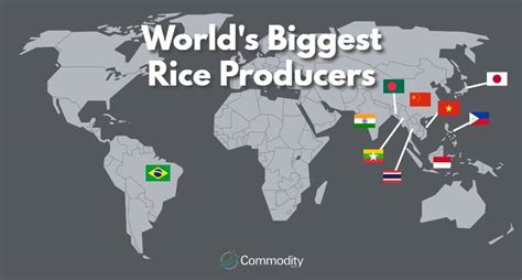 The Top Ten Largest Rice Producing Countries In The W