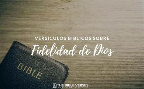 30 Versículos De La Biblia Sobre La Fidelidad De Dios