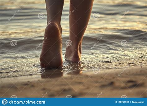 Female Feet Barefoot On A Sandy Beach In The Water Close Up Of Beautiful Female Legs Wet Foot