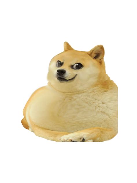 In Case Anyone Actually Wants To Use It Rdogelore Ironic Doge