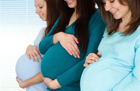 embarazo saludable la importancia del control preconcepcional y prenatal novedades hospital