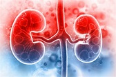 What is chronic kidney disease? - Chronic Kidney Disease Treatment