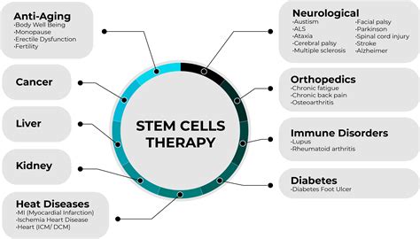 Stem Cells Can Be Used With Therapeutic Benefit Regions Clinic