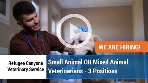 Jobs Available at Refugee Canyone Veterinary Service - Hosted by Digi-Me
