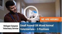Explore Your Career Options Discover Jobs Available At Canyan Veterinary Clinic California