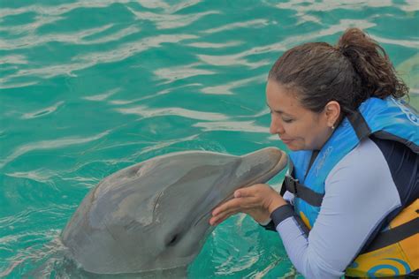 Woman Playing With Dolphin In Body Of Water Photo Free Sea Life Image