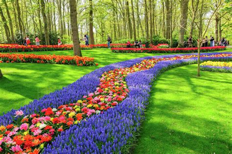 Keukenhof Lisse Netherlands 21 April 2019 Luxury Flowerbeds In