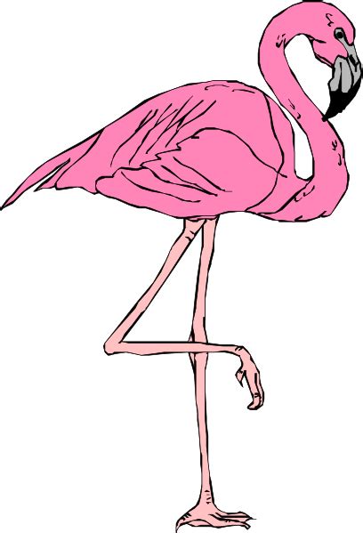 Flamingo Clipart Clip Art Library
